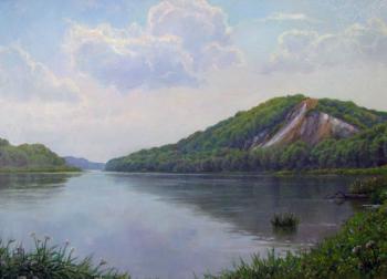 Summer day on the Don. Dobrodeev Vadim