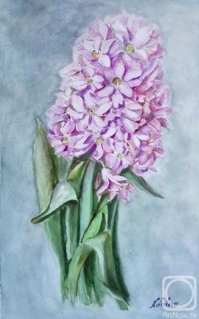 �������. ������� �������. Hyacintus