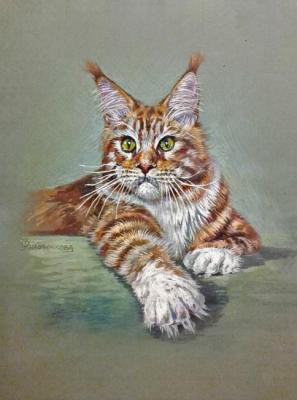 Ginger Maine Coon