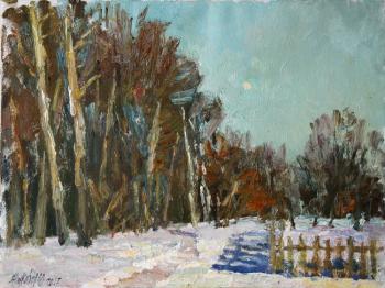 Winter etude in trigorskoye. Zhukova Juliya