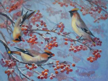 The Waxwings Have Arrived
