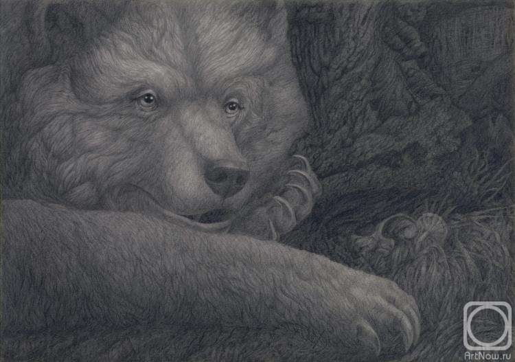 Dementiev Alexandr. Bear's portrait