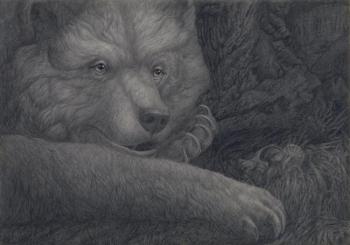 Bear's portrait (Scuro). Dementiev Alexandr