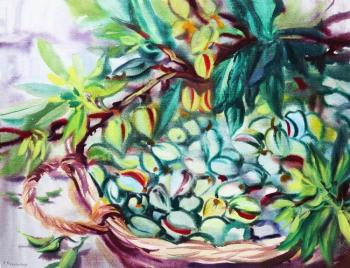 ������� �������� � �������