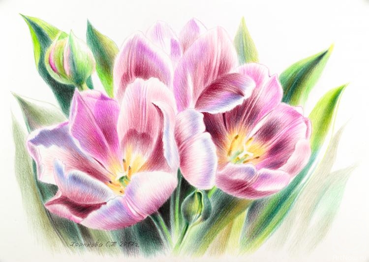 Khrapkova Svetlana. Tulips Virosa