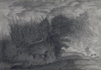 Landscape With The Drop-down Tree (). Dementiev Alexandr