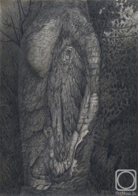 Dementiev Alexandr. Owl ingrown in a tree
