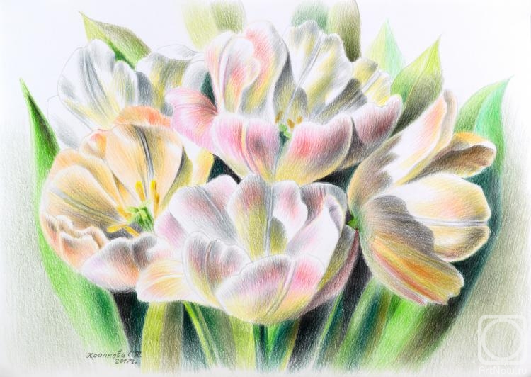 Khrapkova Svetlana. Tulips Cream Upstar