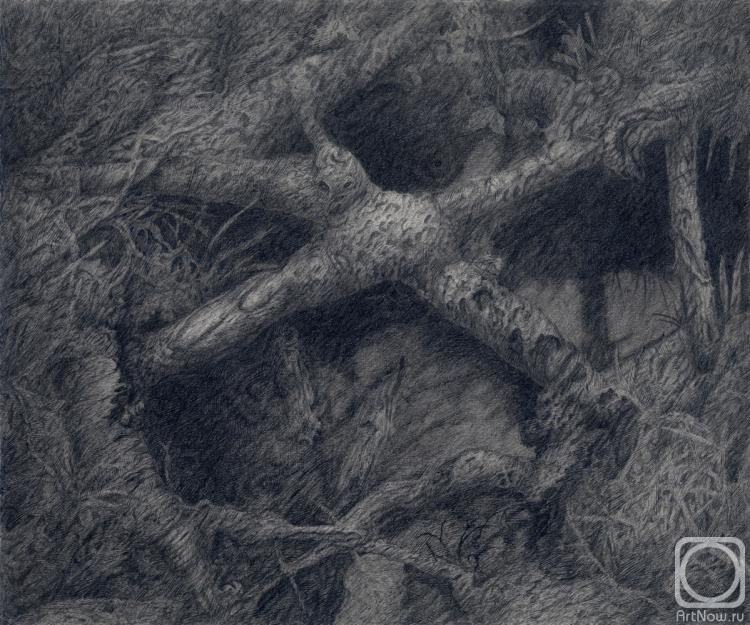 �������. ��������� ���������. ������ ��� ����� �������