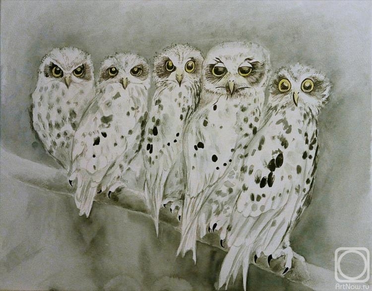 Zozoulia Maria. White Owls