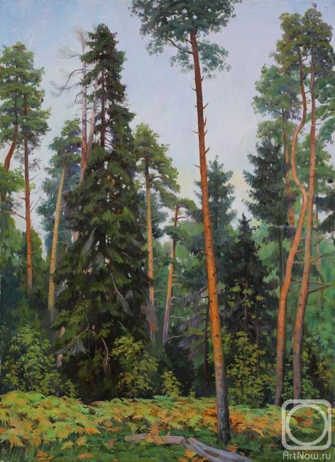 ������� ������ �� ������. ������ ������. ���