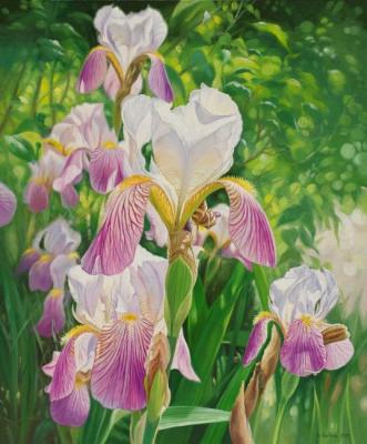 Irises. Zhaldak Edward