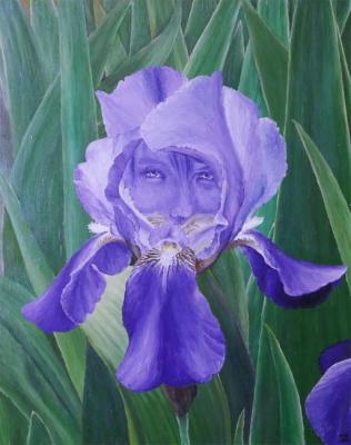 ������� �����