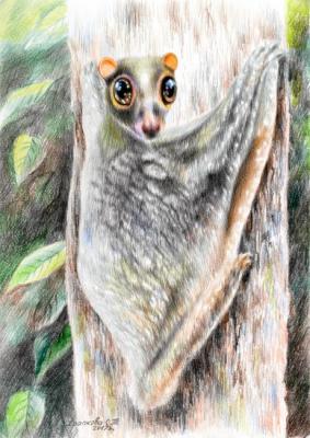 ���������� (������������ ��������). �������� ��������