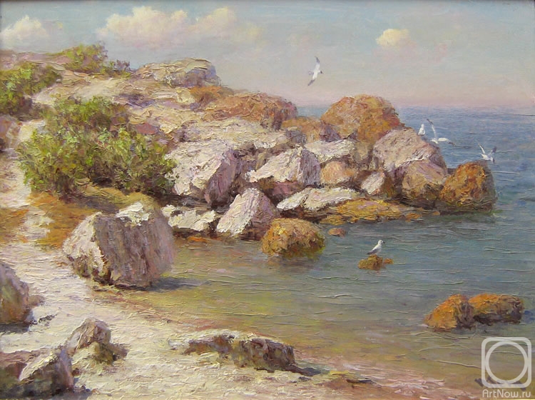 Seng Anatoliy. Gulls and stones