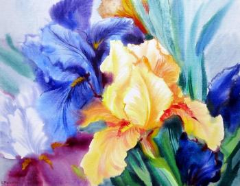 ������� ���������-�������� ����