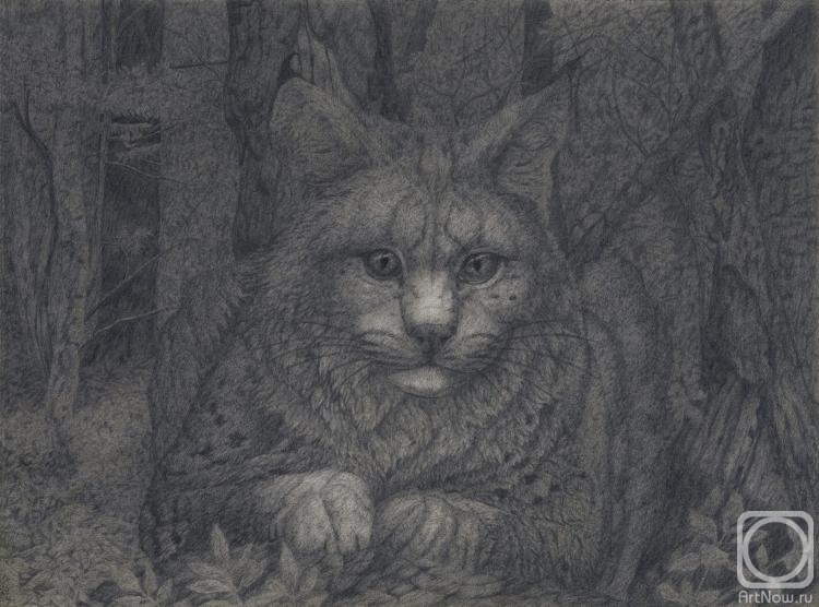 Dementiev Alexandr. Sitting lynx portrait