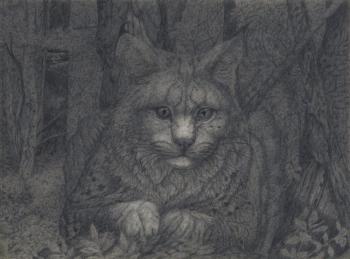 Sitting lynx portrait (Sitting Cat). Dementiev Alexandr