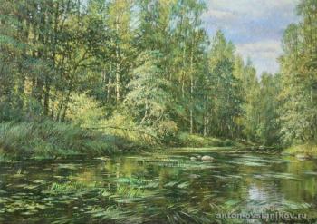 On the river Roschinka. Ovsianikov Anton