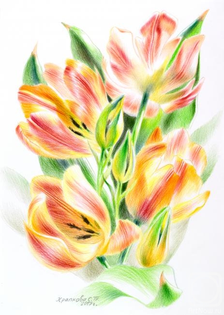 �������. �������� ��������. �������� ���� ����