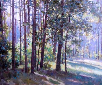 Oaks in a pine forest. Taranov Viacheslav