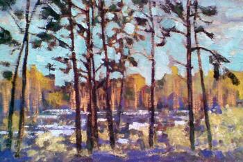 ������� ���������� ����