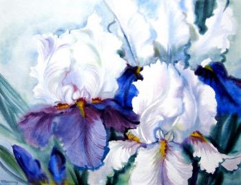 ������� ������ ��������