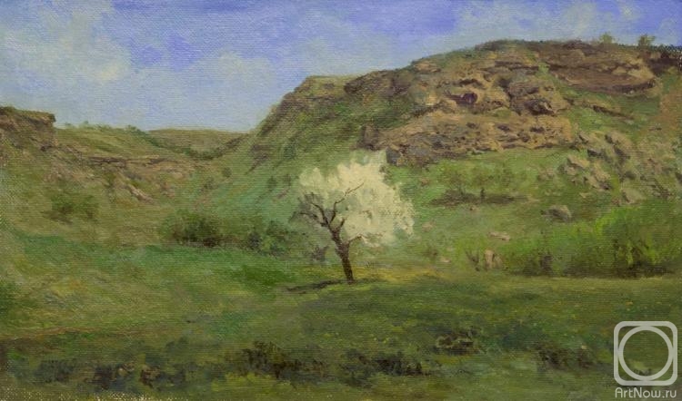 �������. ������� ��������. ������������ �����