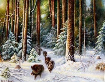Wild boars in the forest. Yahnev Sergey