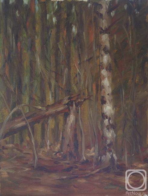 ������� ������ �� ������. �������� ������. � ���� � ����� (����)