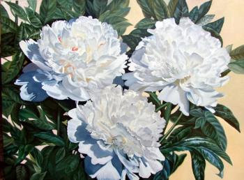 ������� ���� �����