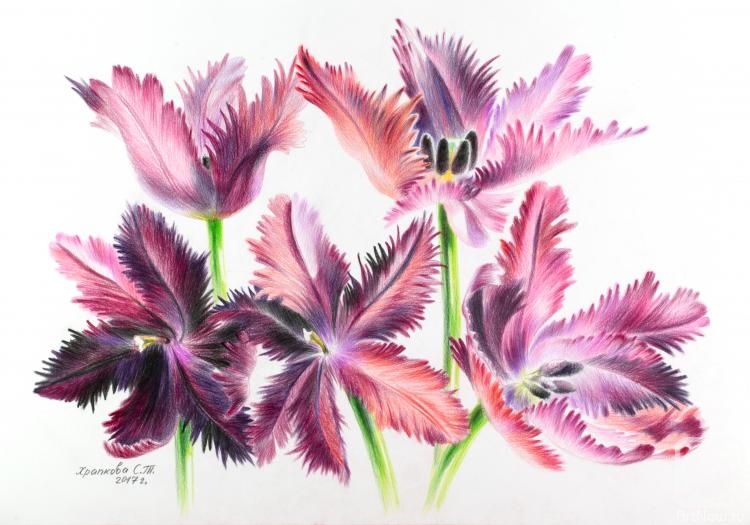 �������. �������� ��������. �������� ����������