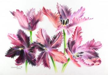 ������� ��������� ����������