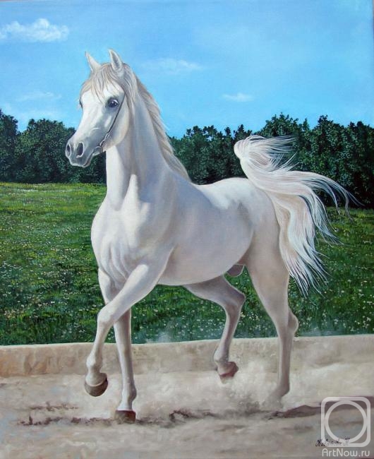 Kabatova Nadya. Eagle or white horse