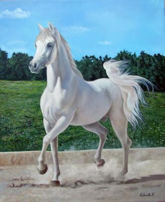 Eagle or white horse. Kabatova Nadya