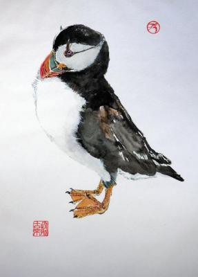 ������� ������� (Fratercula Corniculata)�