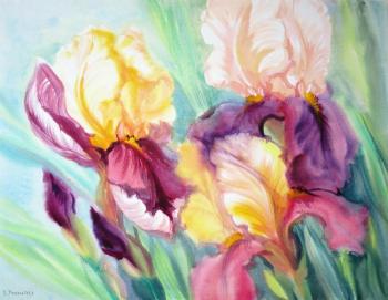 ������� ������ �� ����