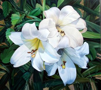 ������� ���� �����