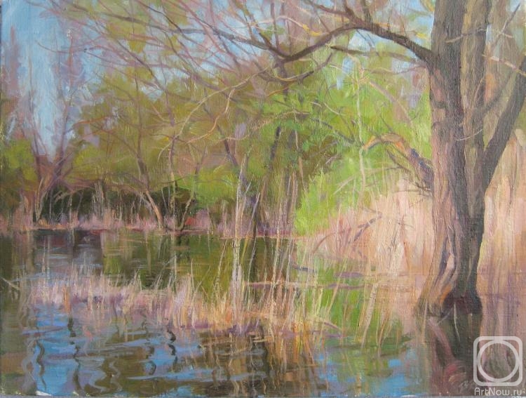 ������� ������ �� ������. ������� ��������. ������ ������