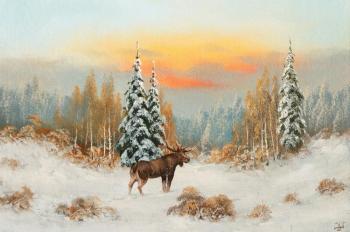 Winter forest. Elk