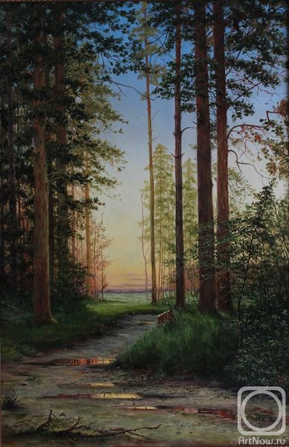Belozerova Oksana. Evening in the Pine Forest (Copy of Shishkin)