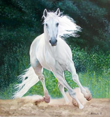 White Horse. Kabatova Nadya