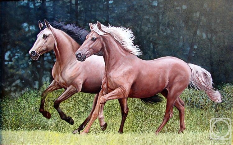 ������� ������ �� ������. �������� �������. ����