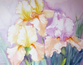 ������� ������������ ����� �������� ������