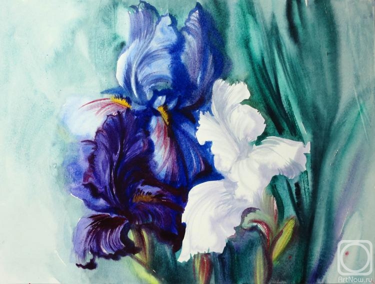 �������. ���������� ���������. ����� ����