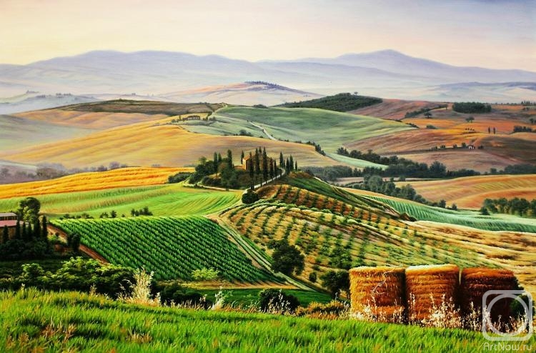 Kamskij Savelij. Tuscan fields. Time of harvest