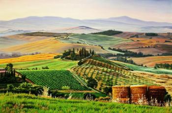 Tuscan fields. Time of harvest. Kamskij Savelij