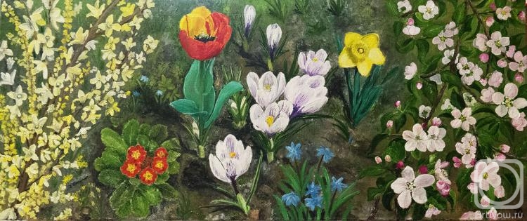 ������� ������ �� ������. ������� �������. ����� �����