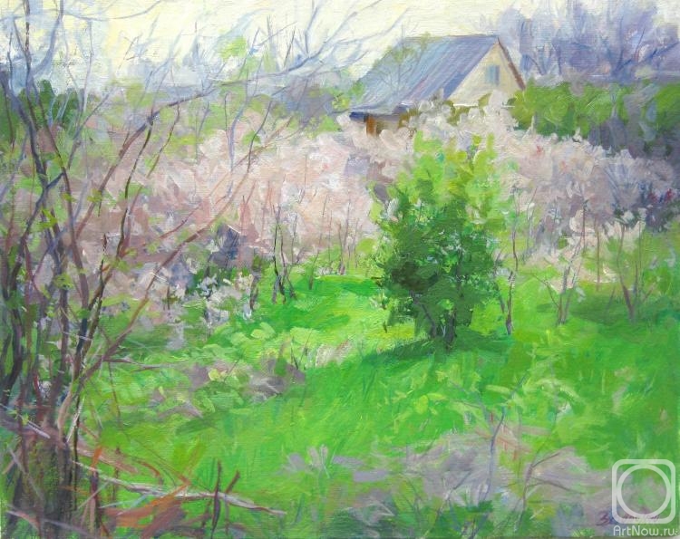 Voronov Vladimir. Spring in the country