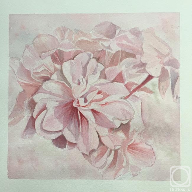 �������. ���������� �����. ������